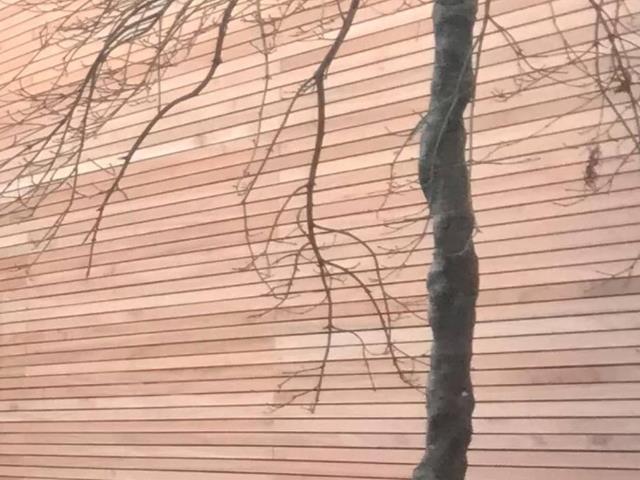 hardwood fencing batons red grandis